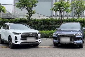 10萬級入門車買油還是電？